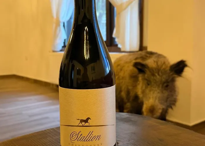 Vladimirov's House , цяла къща Prázdninový dům Kovačevica